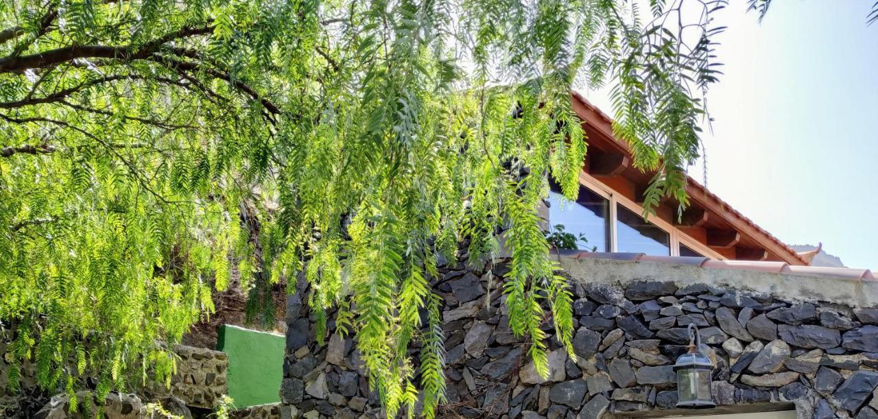 Finca La Ladera Valle Gran Rey Exterior foto